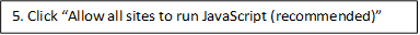 5. Click “Allow all sites to run JavaScript (recommended)”